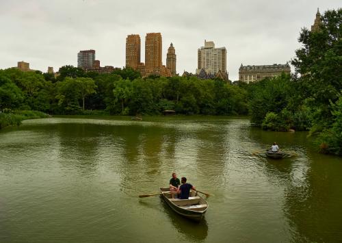 Rowing, Central Park