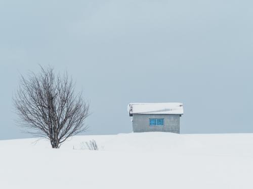 House on a Hill